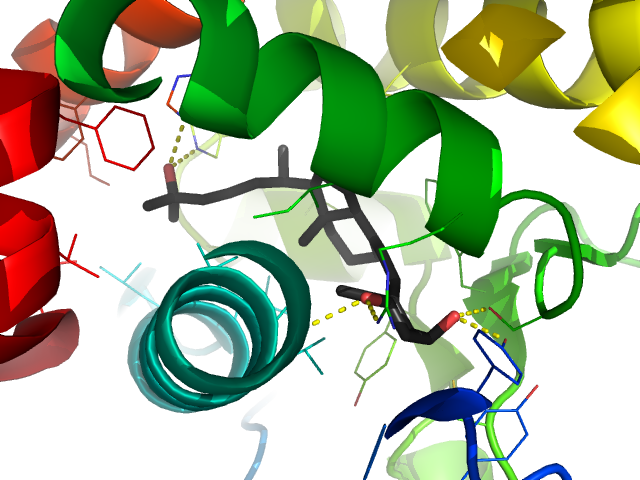 3D structure of dihydroxy vitamin D inside the vitamin D receptor protein